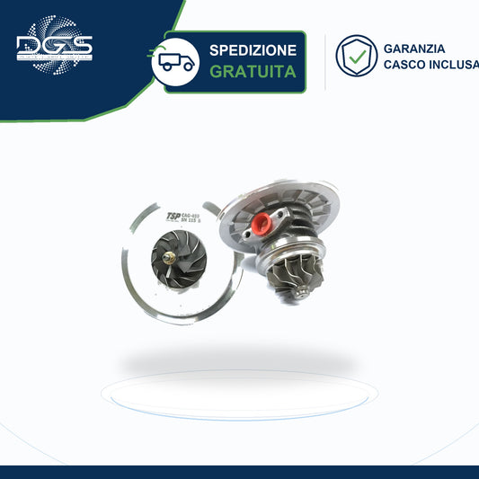 CORE ASSY BILANCIATO GT2556S PERKINS - CAG-459