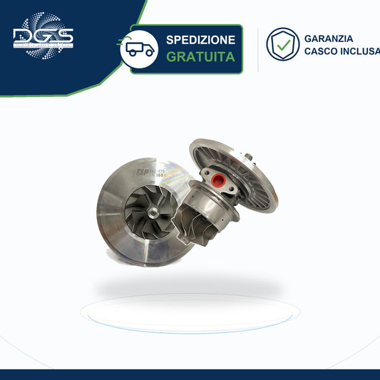 CORE ASSY BILANCIATO GT4294S DAF TRUCK