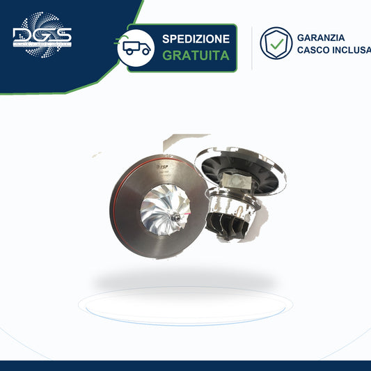 CORE ASSY BILANCIATO GTC4294BNS SCANIA MFS