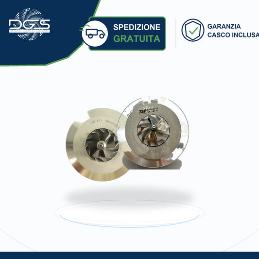 CORE ASSY BILANCIATO GT2556V - CAG-871